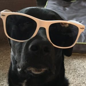 Meet your Posher, Nick